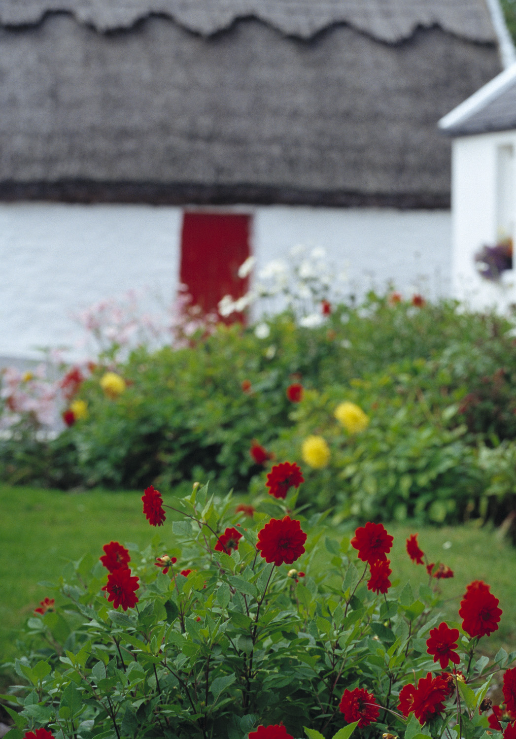 Cottages line your route
