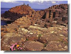 Glens of Antrim- Giant's Causeway - Portrush