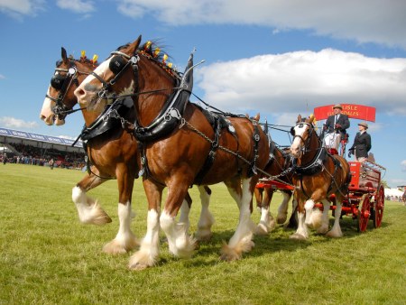 Royal Highland Show